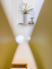 galleryImage