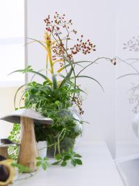 galleryImage