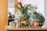 galleryImage