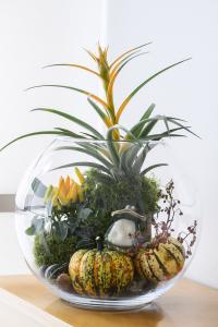 galleryImage