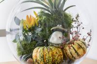 galleryImage