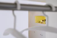 galleryImage