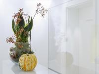 galleryImage