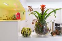 galleryImage