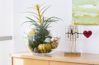 galleryImage