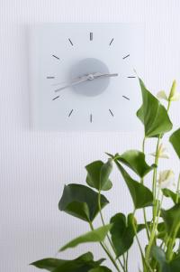 galleryImage