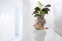 galleryImage
