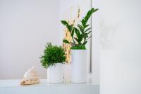galleryImage