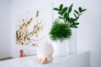 galleryImage